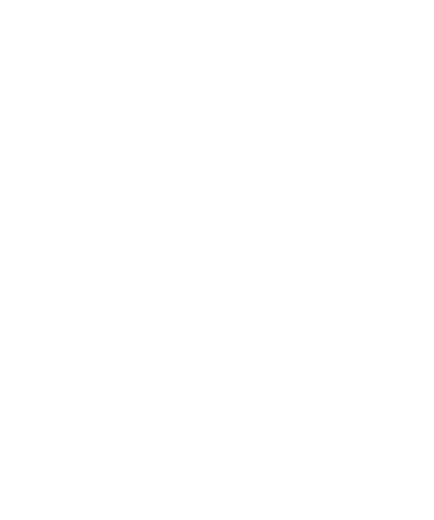 JS BRAND